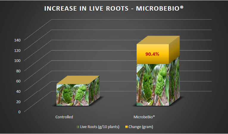 MICROBEBIO