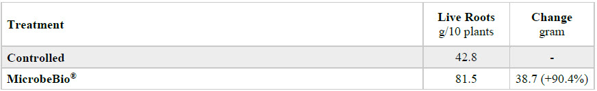 Microbial Fertilizer