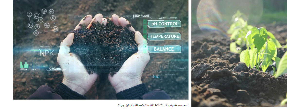 MICROBEBIO sustainable farming practices 5