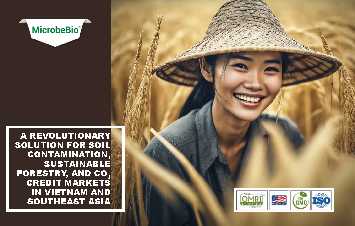 A Revolutionary Solution for Soil Contamination-Sustainable Forestry-and CO2 Credit Markets_Page_01