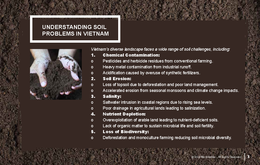 A Revolutionary Solution for Soil Contamination-Sustainable Forestry-and CO2 Credit Markets_Page_03