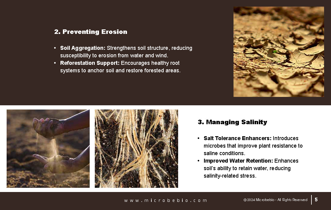 A Revolutionary Solution for Soil Contamination-Sustainable Forestry-and CO2 Credit Markets_Page_05
