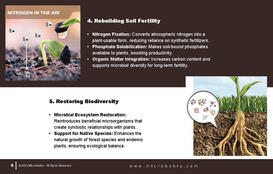 A Revolutionary Solution for Soil Contamination-Sustainable Forestry-and CO2 Credit Markets_Page_06