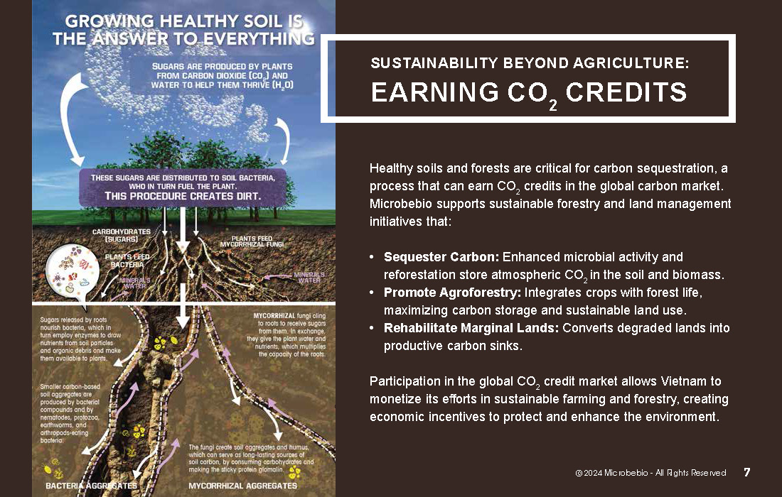 A Revolutionary Solution for Soil Contamination-Sustainable Forestry-and CO2 Credit Markets_Page_07
