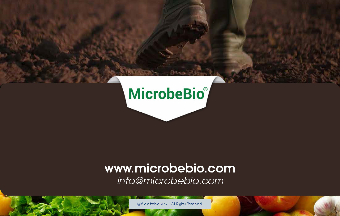 A Revolutionary Solution for Soil Contamination-Sustainable Forestry-and CO2 Credit Markets_Page_10