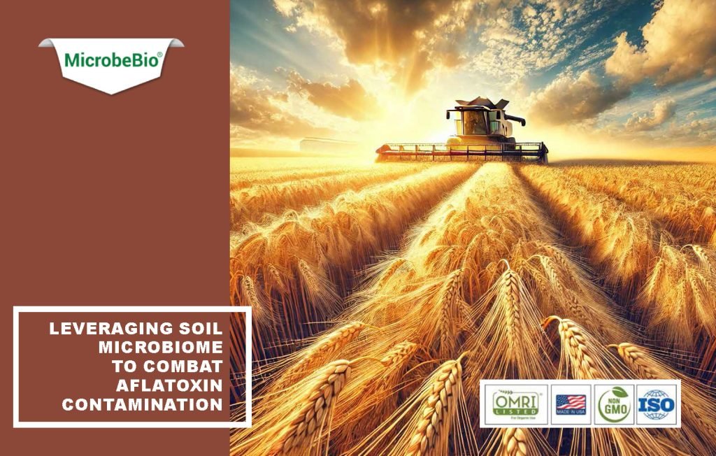 Microbebio: Leveraging Soil Microbiome to Combat Aflatoxin Contamination