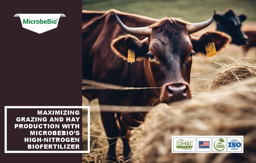 Maximizing Grazing and Hay Production with Microbebio’s High-Nitrogen Biofertilizer