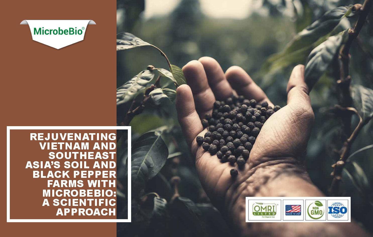 Rejuvenating Vietnam and Southeast Asia Soil and Black Pepper Farms with Microbebio_Page_01