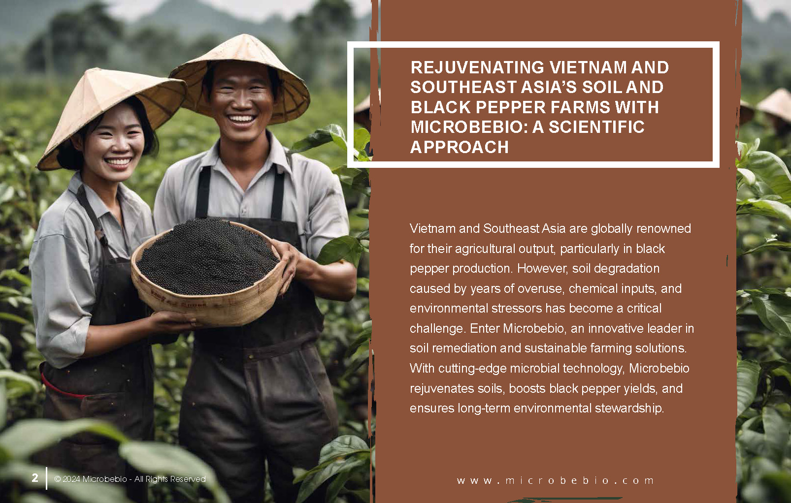 Rejuvenating Vietnam and Southeast Asia Soil and Black Pepper Farms with Microbebio_Page_02