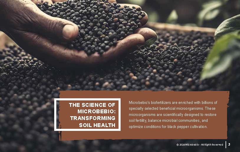 Rejuvenating Vietnam and Southeast Asia Soil and Black Pepper Farms with Microbebio_Page_03