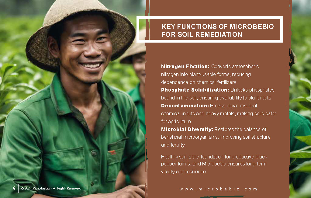 Rejuvenating Vietnam and Southeast Asia Soil and Black Pepper Farms with Microbebio_Page_04