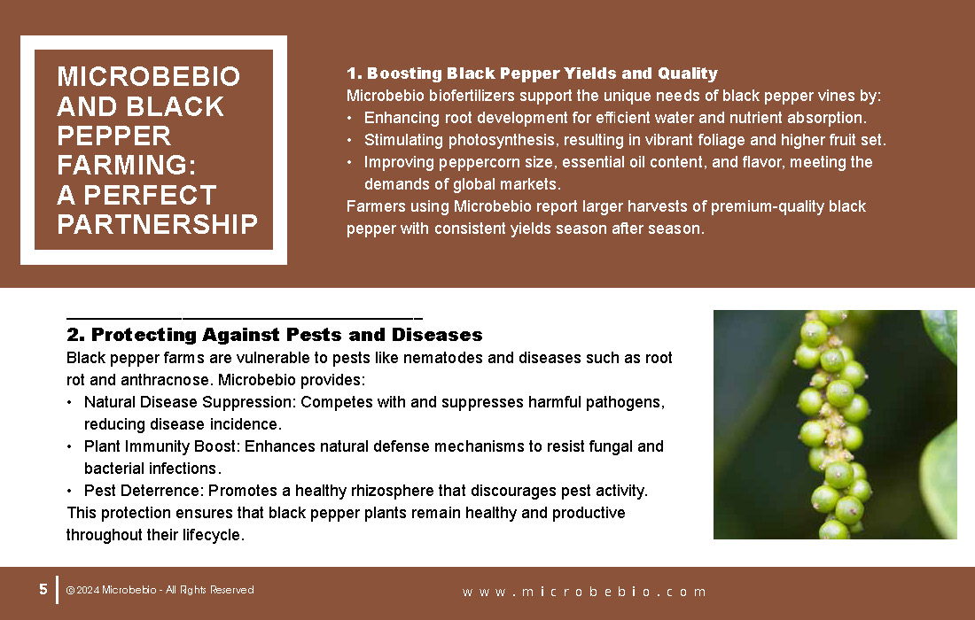 Rejuvenating Vietnam and Southeast Asia Soil and Black Pepper Farms with Microbebio_Page_05