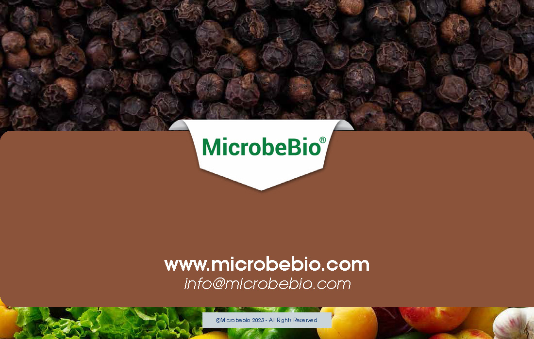 Rejuvenating Vietnam and Southeast Asia Soil and Black Pepper Farms with Microbebio_Page_10