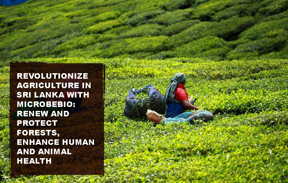 Revolutionize Agriculture in Sri Lanka with Microbebio_Page_02
