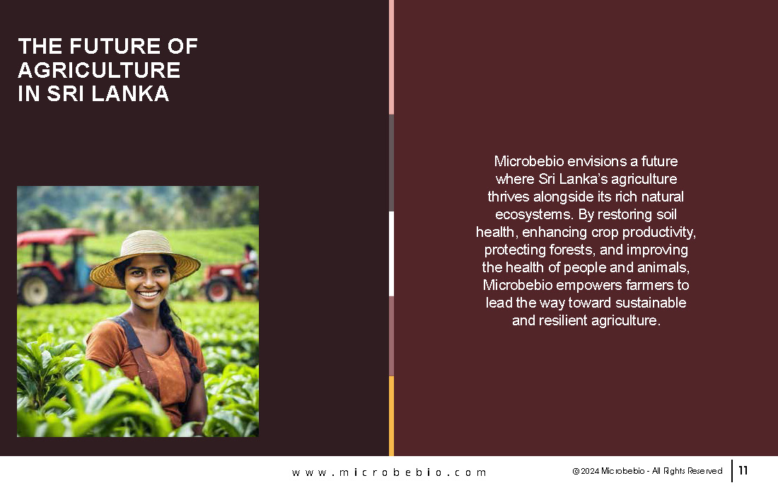 Revolutionize Agriculture in Sri Lanka with Microbebio_Page_11