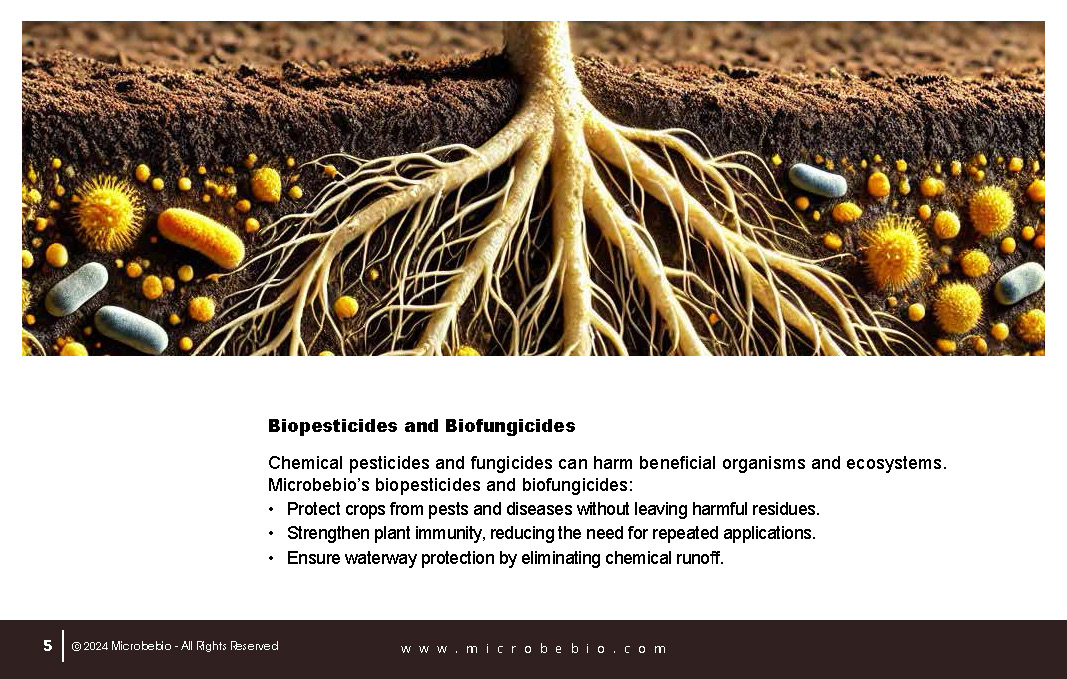 Revolutionizing Agriculture in Bangladesh with 100 Organic Solutions_Page_05
