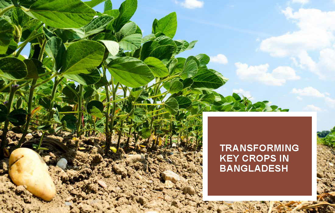 Revolutionizing Agriculture in Bangladesh with 100 Organic Solutions_Page_07