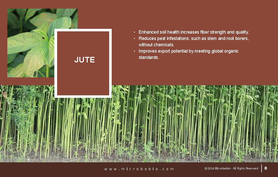Revolutionizing Agriculture in Bangladesh with 100 Organic Solutions_Page_08