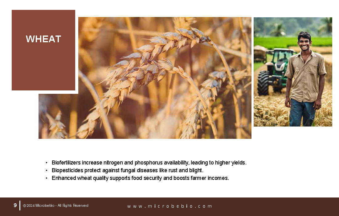 Revolutionizing Agriculture in Bangladesh with 100 Organic Solutions_Page_09