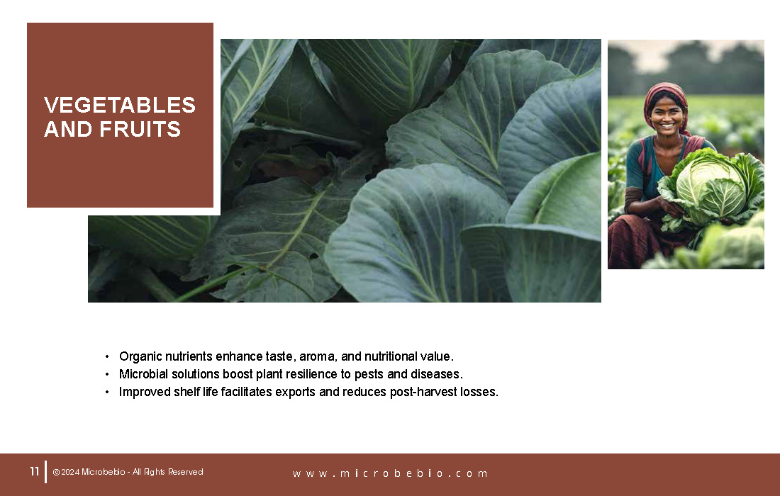 Revolutionizing Agriculture in Bangladesh with 100 Organic Solutions_Page_11