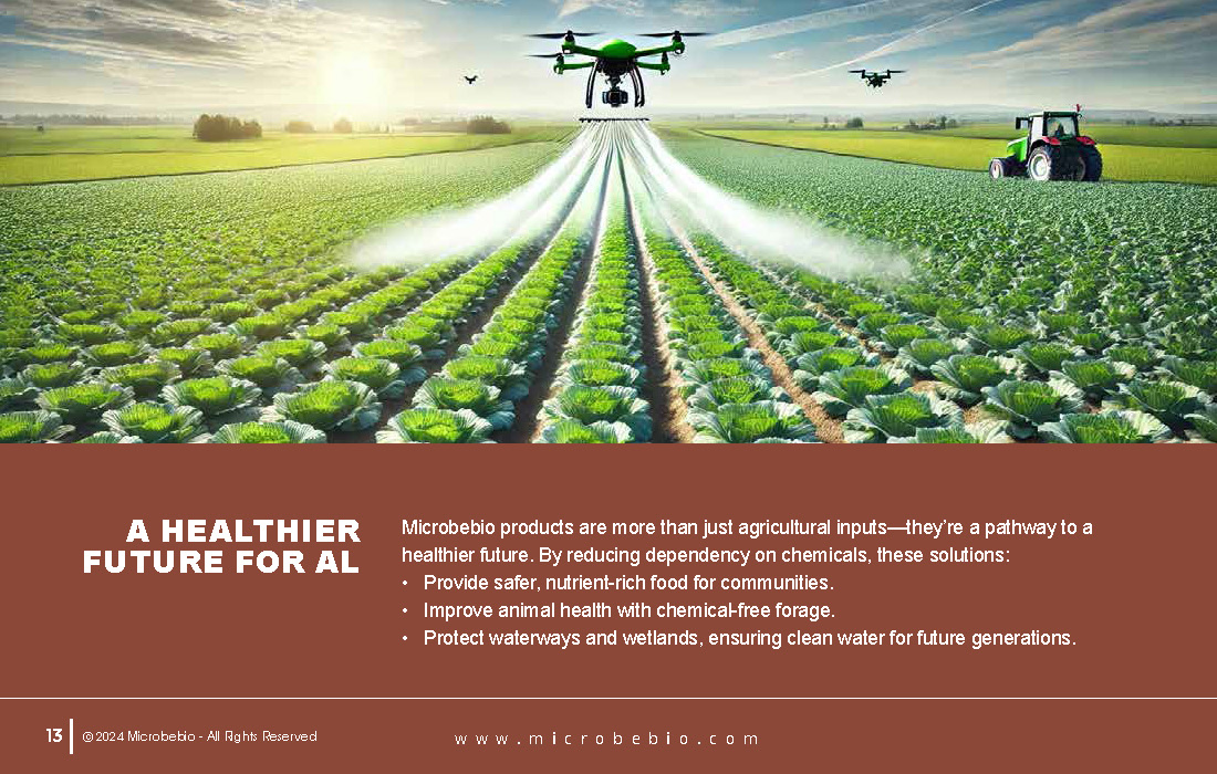 Revolutionizing Agriculture in Bangladesh with 100 Organic Solutions_Page_13