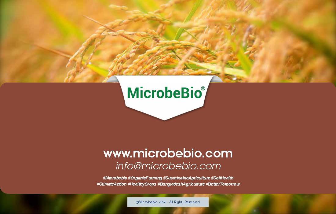 Revolutionizing Agriculture in Bangladesh with 100 Organic Solutions_Page_16