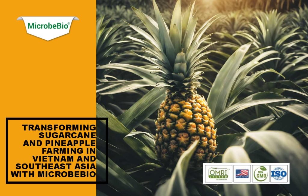 Transforming Sugarcane and Pineapple Farming in Vietnam and Southeast Asia with Microbebio